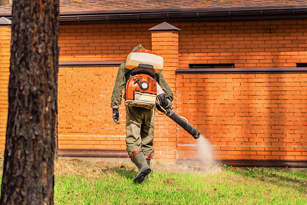 Trusted Bed Bug Control service in South Pasadena, CA - Nex Pest Control
